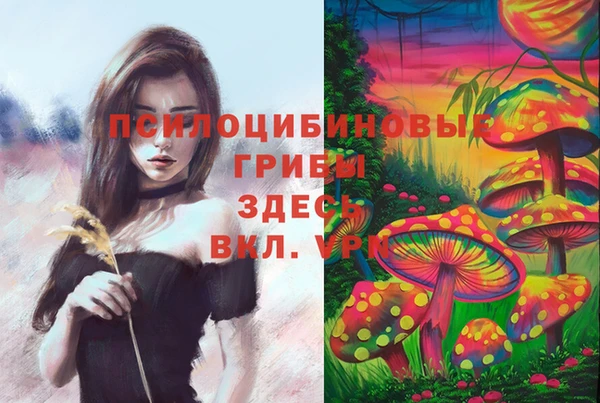 ешки Белокуриха