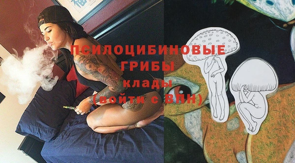 ешки Белокуриха