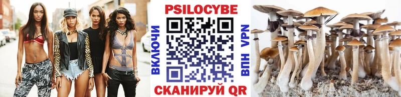 магазин продажи   Тында  Галлюциногенные грибы мицелий 